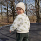 2pcs Baby Boy Dinosaur Print,  Fleece Crew Neck Long Sleeve Pullover Sweatshirt Elastic Waist Long Pants.