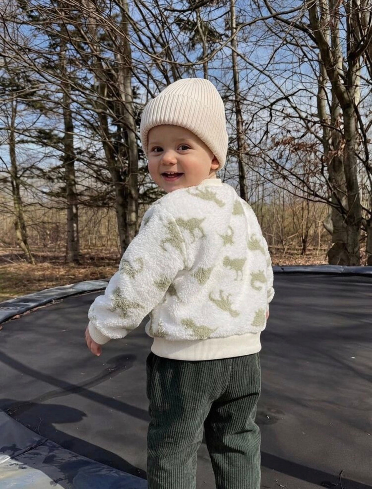 2pcs Baby Boy Dinosaur Print,  Fleece Crew Neck Long Sleeve Pullover Sweatshirt Elastic Waist Long Pants.