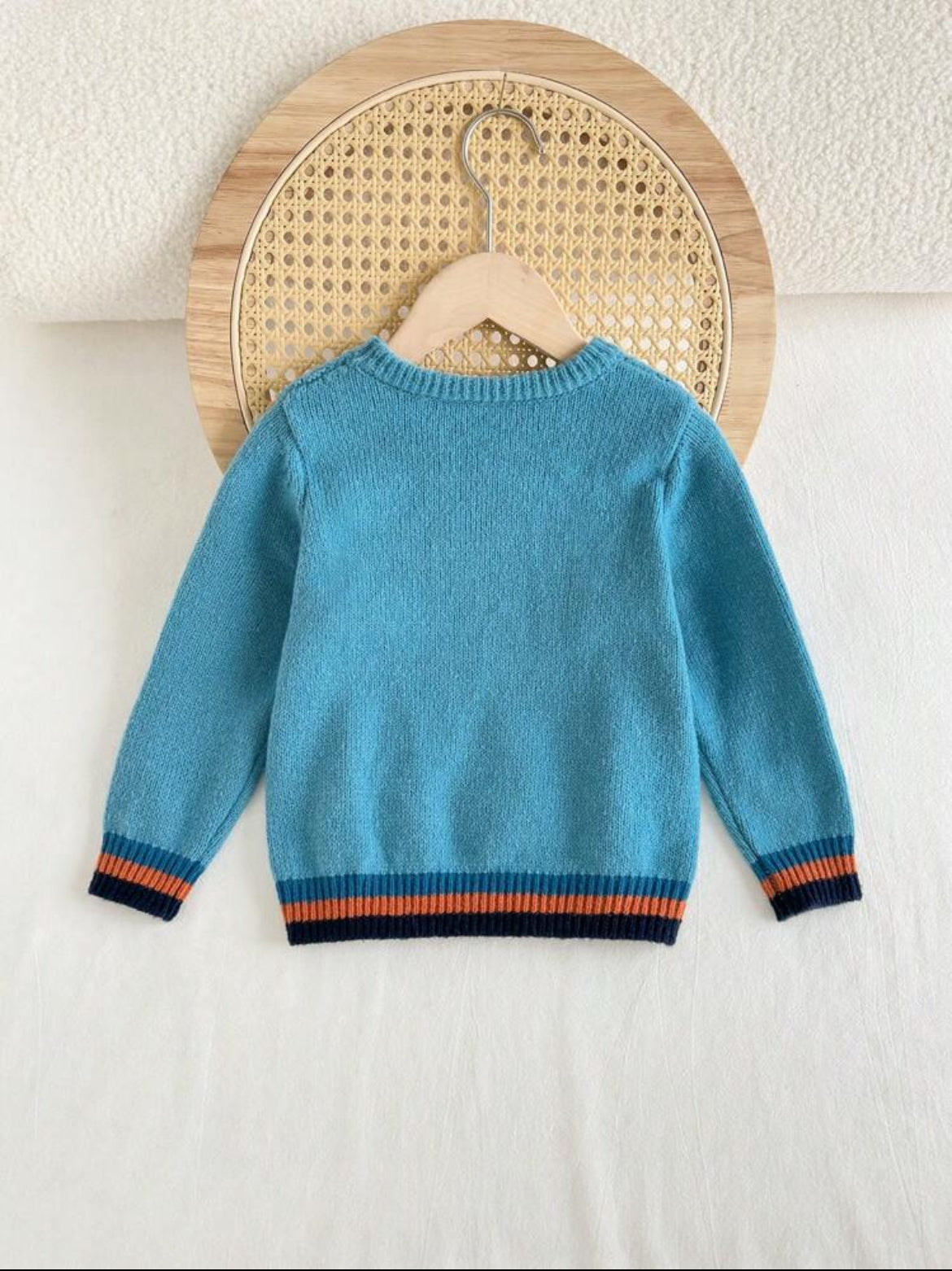 Young Boy Twisted Pattern Crew Neck Long Sleeve Pullover Sweater