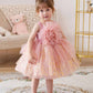 Pink Tulle 3D Floral Gold Sequin Elegant Dress.