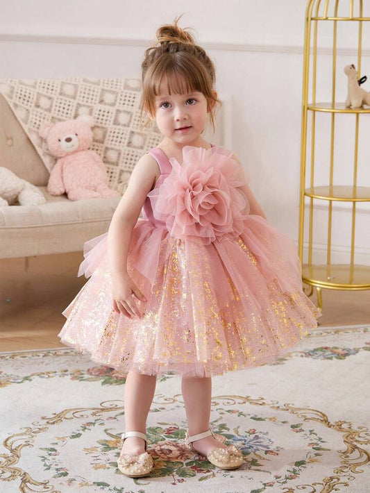 Pink Tulle 3D Floral Gold Sequin Elegant Dress.
